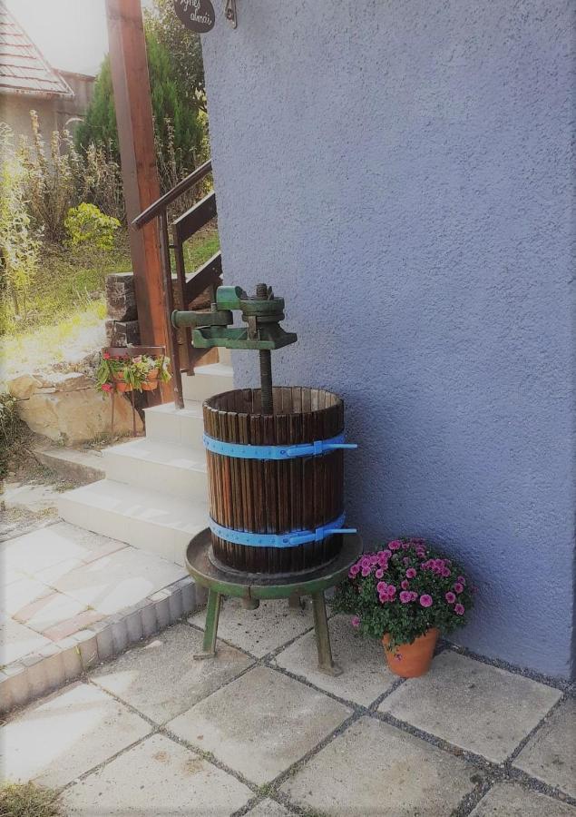 Vila Agnes Almai Agnes Apples Kisapati Exteriér fotografie