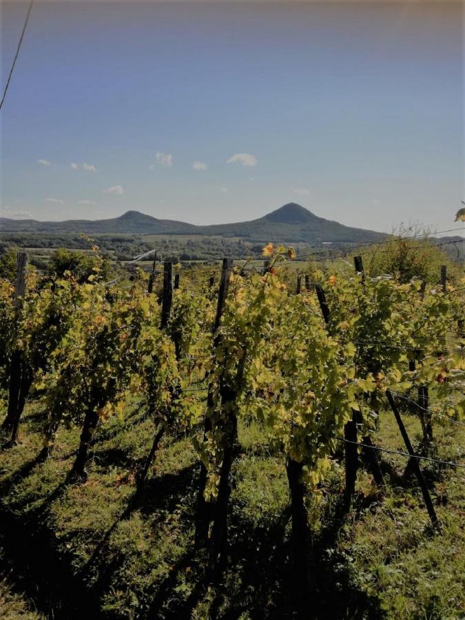 Vila Agnes Almai Agnes Apples Kisapati Exteriér fotografie