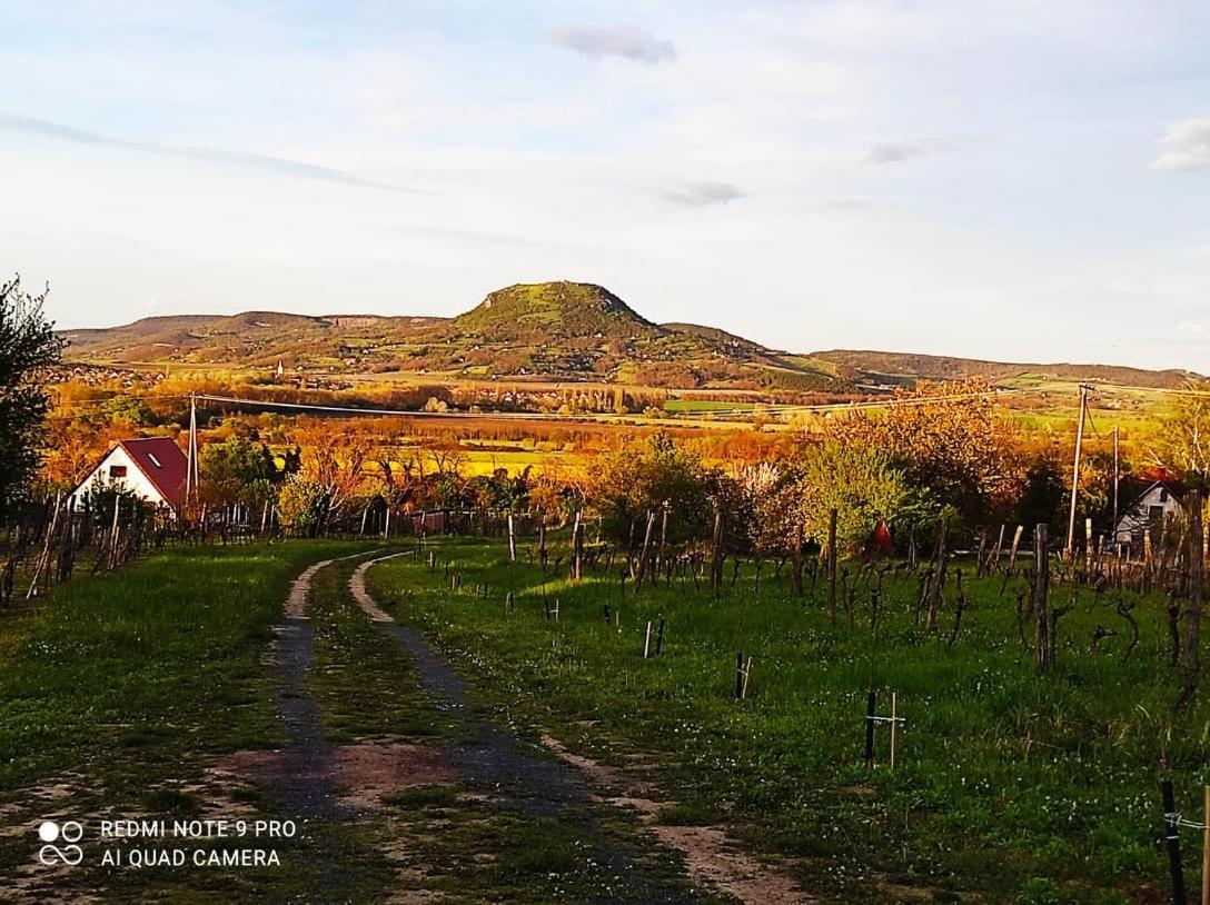 Vila Agnes Almai Agnes Apples Kisapati Exteriér fotografie